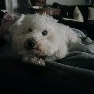 Meet your Posher, Abi